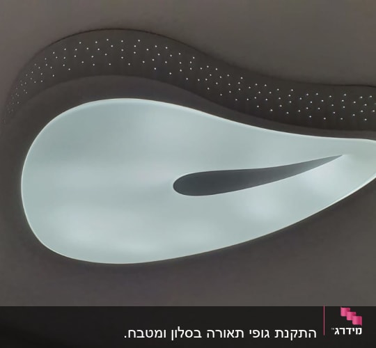 גוף תאורה מעוצב עם תאורה פנימית